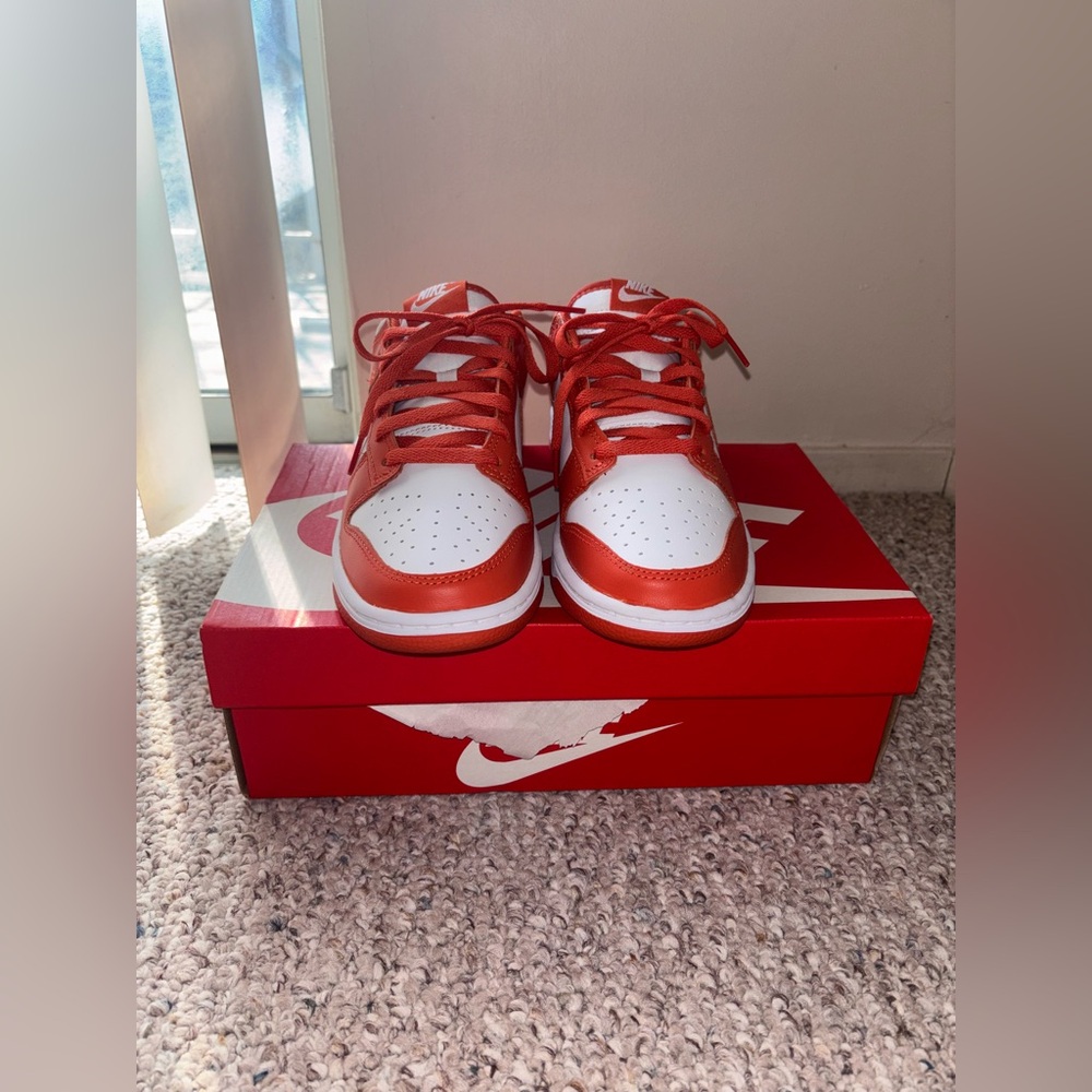 Nike Dunk Low